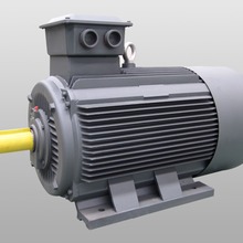 ye3-355L-2/4/6p���ཻ����\����늙C315/250kw�Cе�O��ͨ��