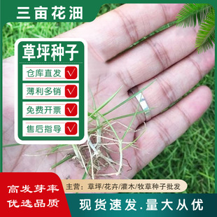 �S�����l��ƺ�N���ļ��๷��������é����̶������������o�²���