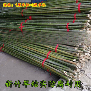Bamboo Poles Wholesale Bamboo Poles Vegetable Garden Frame Bamboo Outdoor Flagpole Fence Cucumber Bean Climbing Vegetable Rack
