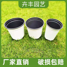 双色 盆圆形白色双色杯  基地绿植草花多肉种植盆 育苗小盆塑料