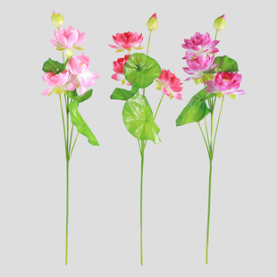 ����ɻ��b����滨�쾰�ٻ��ҾӾƵ�ˮ�ز��Ú�ռ�ֲ��Gֲ