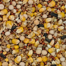 ӼZ20/50/Bʳ^pʳ朹S؛Դ