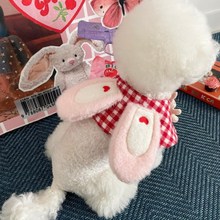 �n��ins�¿�ɐ۸�y����pet؈�����������ˮ���b������L�·�