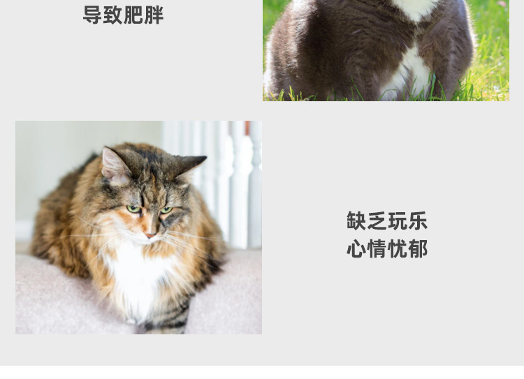 猫抓板_03.jpg