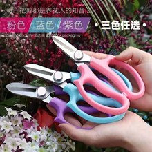 �@ˇ��ˇ�����廨���^���ö๦���r����֦��֦�޻���֦����