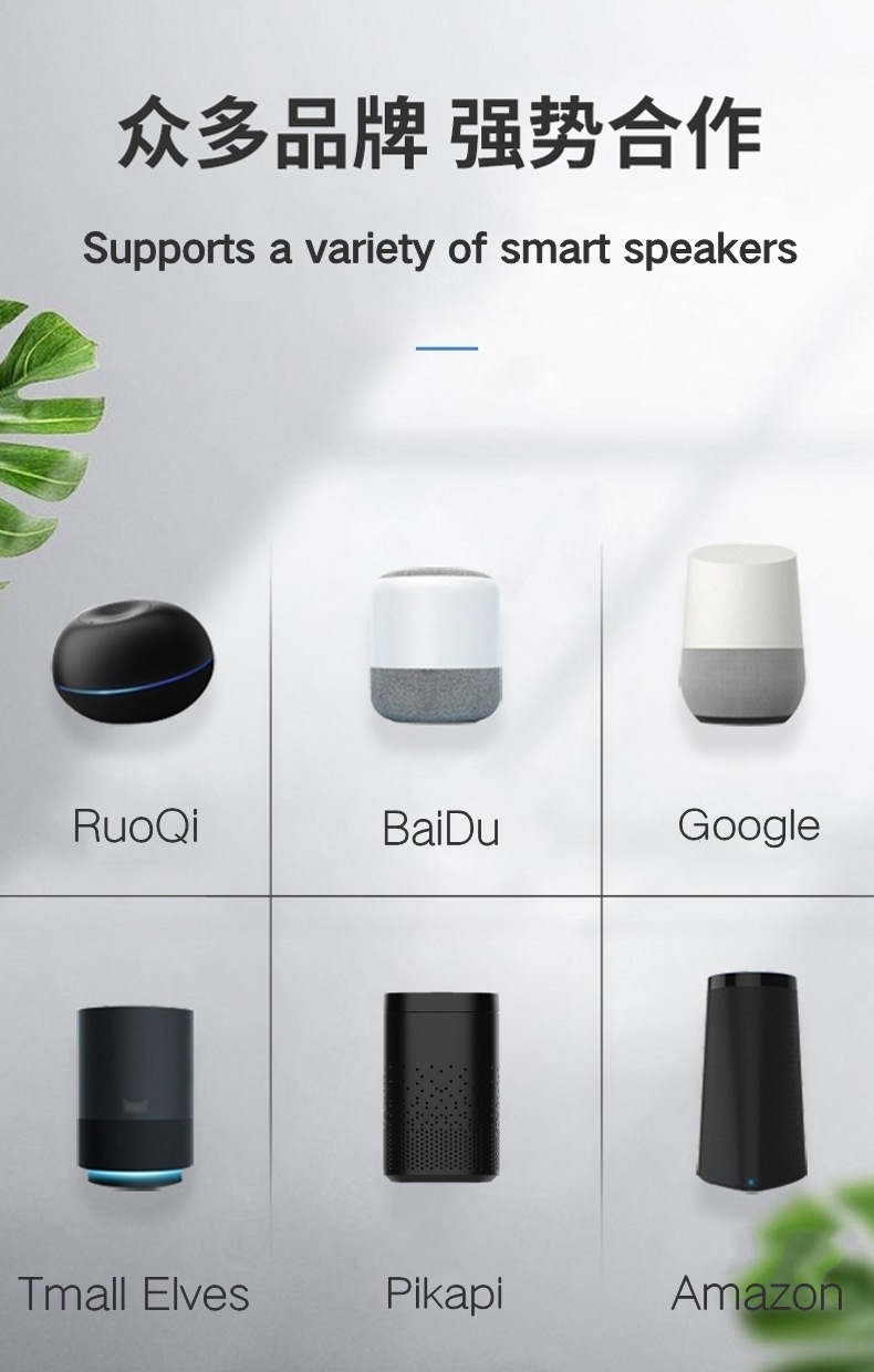 国外规格智能音箱.jpg