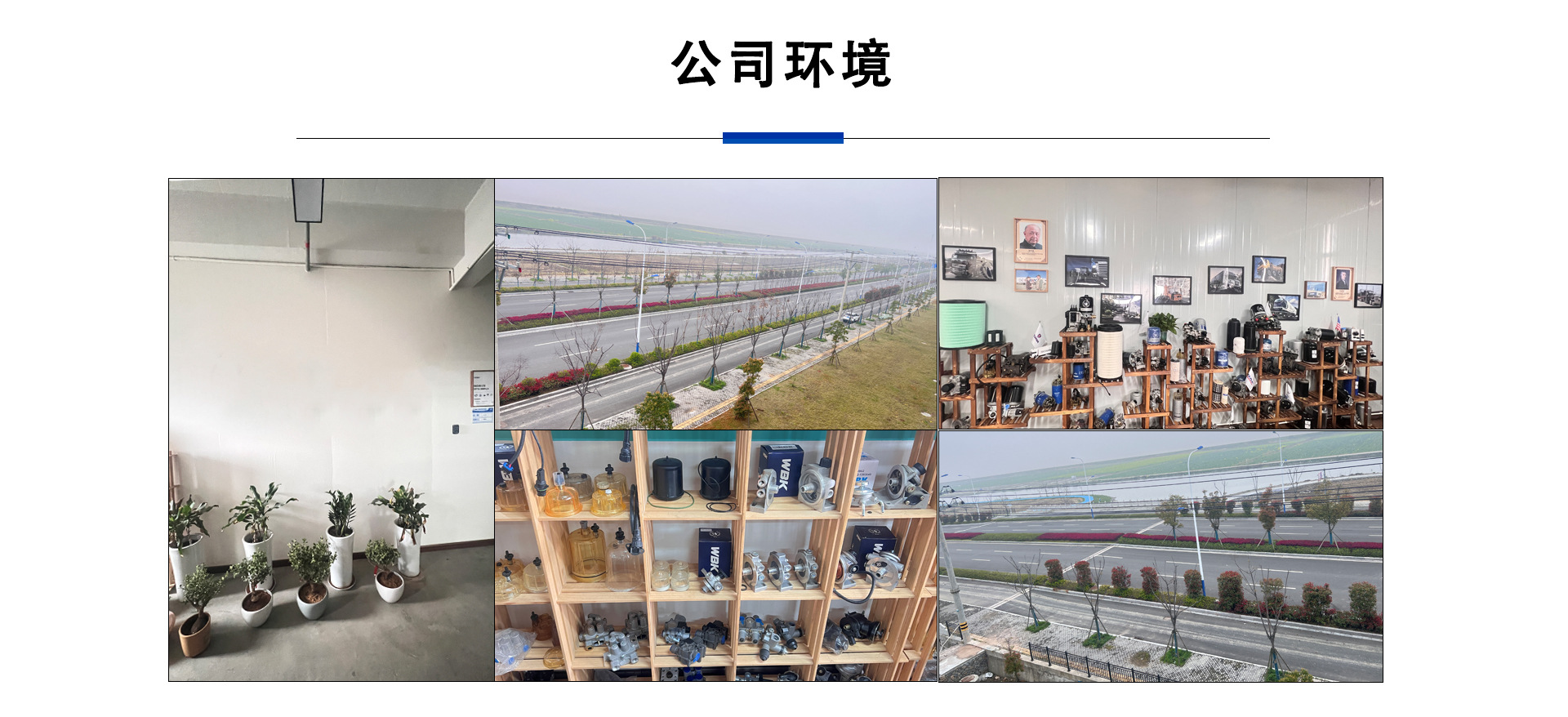 Mb 554950   Mb 129677 Diesel Filter Fuel Filter Oil Water Separator Is Suitable for Mitsubishi