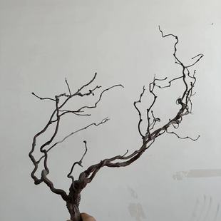 Dragon jujube branch natural withered vine rattan soft decoration rattan shape landscaping flower arrangement vine branch tea embossing