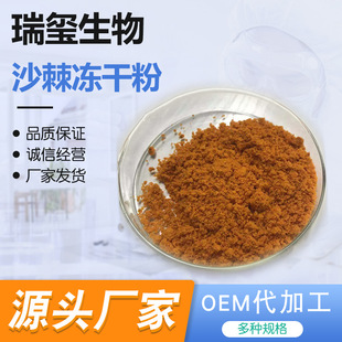 Sea Buckthorn Freeze Dried Powder Sea Buckthorn Extract Sea Buckthorn Concentrated Powder Sea Buckthorn Powder in stock Supply Big Offer Wholesale