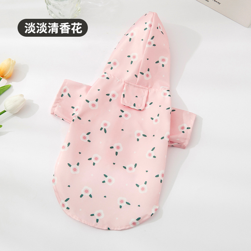 빛 향기 꽃
