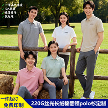 220gȫ��polo�����ƹ�����ӡlogo���I������I�Ļ������b�̽�ӆ��