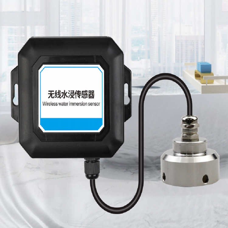 无线水浸传感器型号:FST100-2113 库号：M144267
