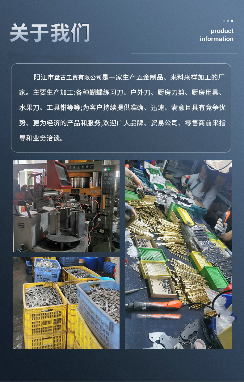 盘古公司介绍