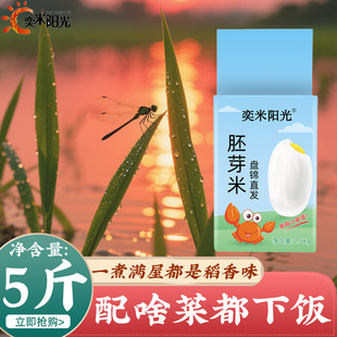 ��ѿ��5��|������2.5kg��հ��b�����Ŵз�����B2025������ѿ��