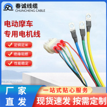 10根1.3m電動摩車專用電機線連接線高溫八平方9芯大功率3000w輪轂
