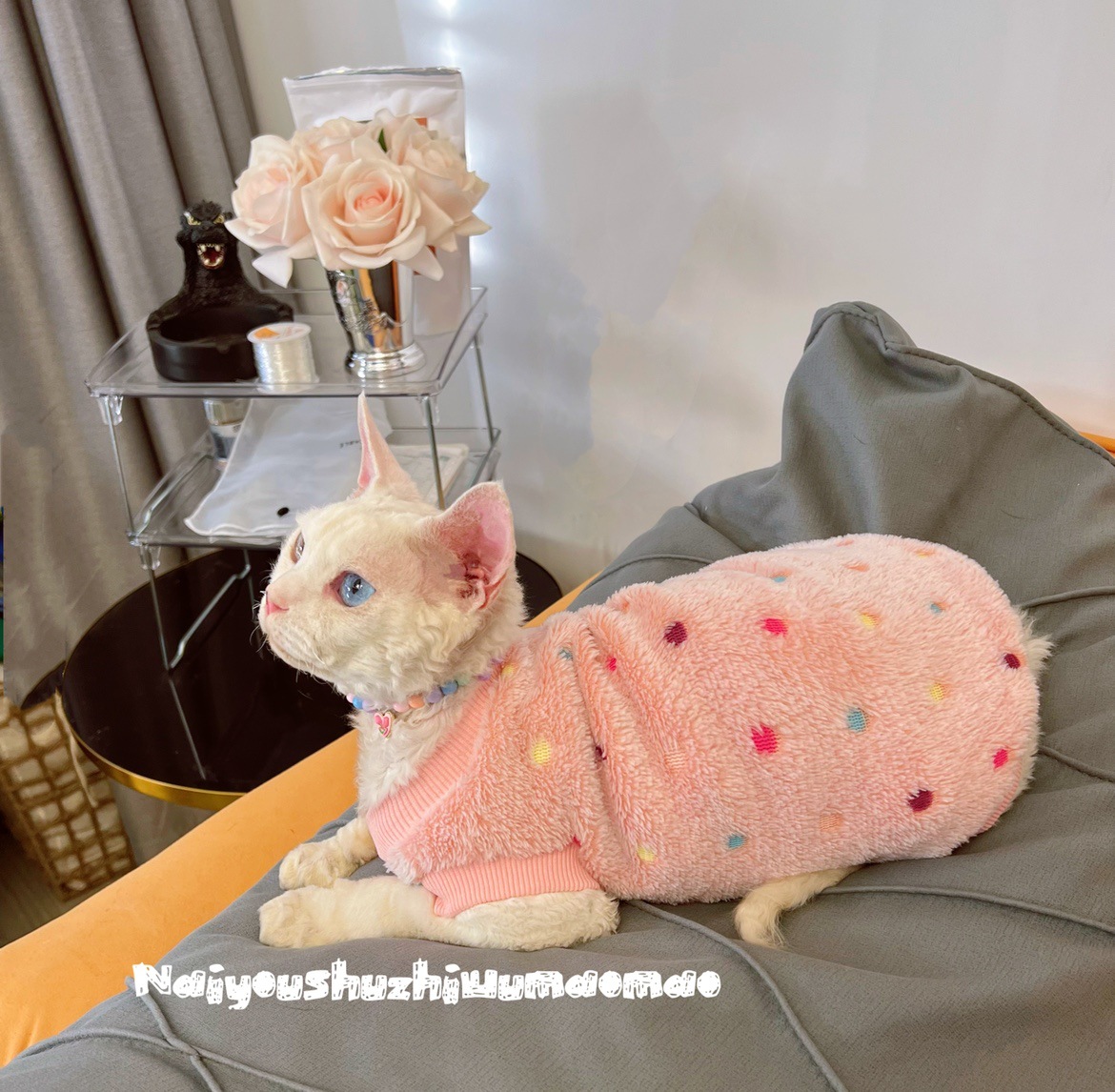 크림은 털이없는 고양이, 스핑크스, 독일 곱슬 고양이, 만능 옷, ??따뜻한 벨벳 조끼, 무료 배송