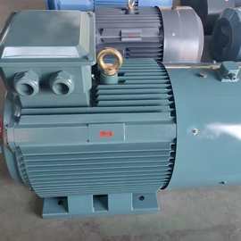 YE3电动机380v三相异步132S-4-5.5KW