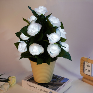 �羳�l���}�Q���[���}�Q�YƷ�b�LEDСҹ���ߙn�������һƷ�t