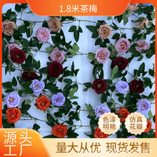 ���滨1.8�ײ�÷�W˹���_��õ�廨�ټҾ��bƵ�͏d�̈���c