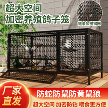 ���ӻ\���ô�̖�ش��F�z�W������������J���u�����W�^�e���B�\