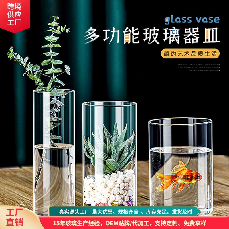 Минималистичная стеклянная ваза для гидропонного выращивания позолотника, цилиндрическая ваза для декора микроландшафтов, оптовая продажа стеклянных банок.