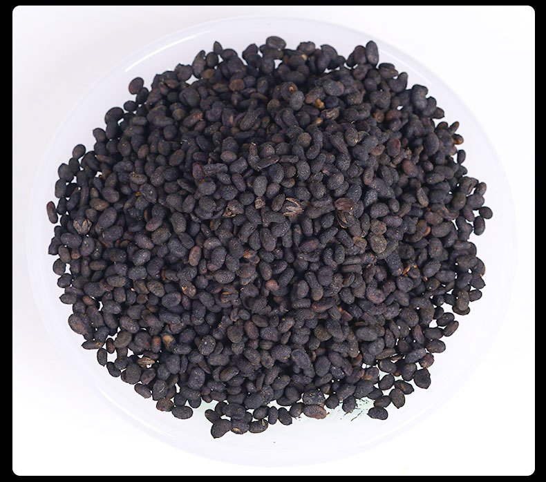 Bu Gu Zhi (Psoralea corylifolia) — Dried Food Herb, Salt-Processed & Raw Forms in use