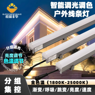 Outdoor Two-Wire Dual-Color 24V Full Color Temperature Centralized Control Plc4G Remote Control Dimming and Color Contour Line Light