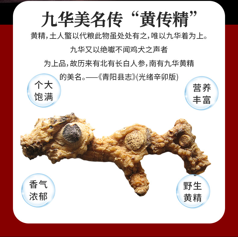 Wild Huang Jing Dried Polygonatum Root 500g Sweet Tea Herb from Jiuhuashan Anhui quality and texture