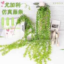��������ȼ����ٗl �҃ȼҾӱڒ��b�ͥԺ��픇��ڹܵ��p�@ֲ��