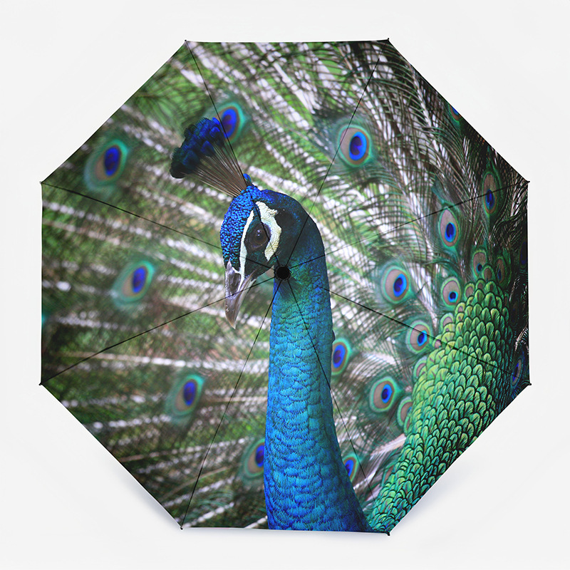 New high-value umbrella three-fold sunscreen creative sunshade sunny and rainy dual-purpose women's black rubber anti-ultraviolet high-level sense