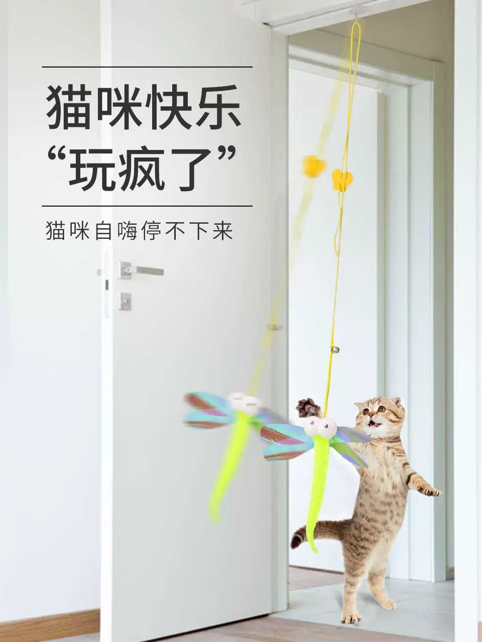 매달려 잠자리