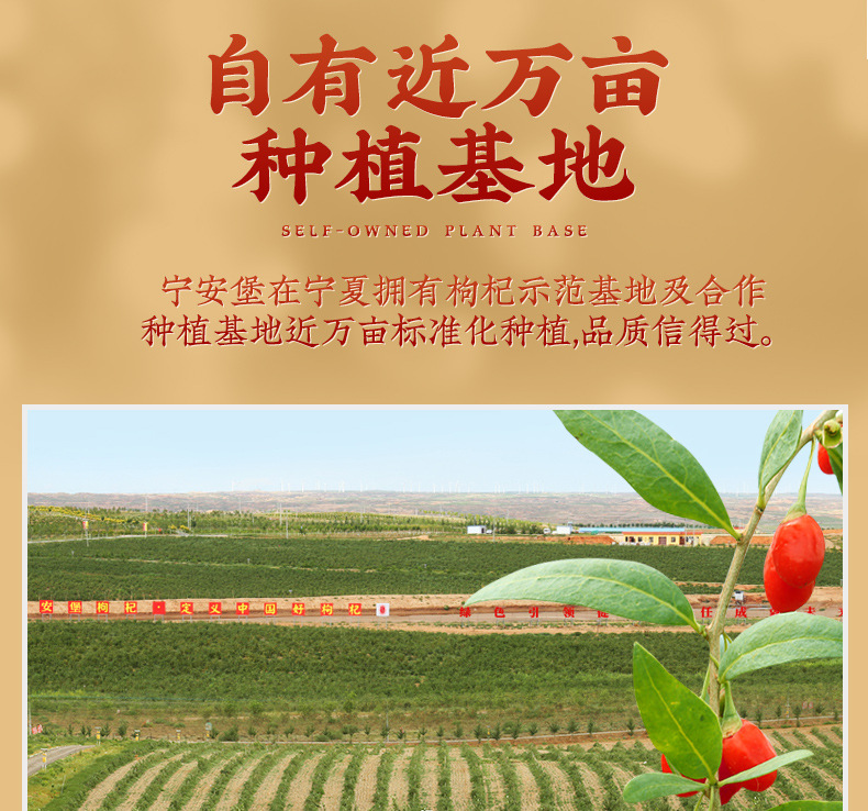 Dried Ningxia Goji Berries Gou Qi Zi 40 Jin Bulk Box Premium Grade quality and texture