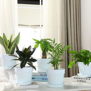 ���ƽ���t�ջ������a���l�Ӻ��������ԾGֲ�G�}������ҾӷNֲ��