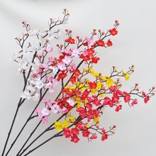 �����3��÷���D÷���滨�̈������b��쾰�[�� ���Q�羳�S�����l