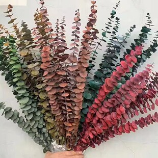 �����~�X���ȼ����滨�����~���r���Ŀ羳���lDIY��c�bҾӔ[