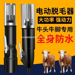 늄�ţ�^Óë�C���׌���ţ�_ţ���ëȥ���������^ȥë������ϴ�C