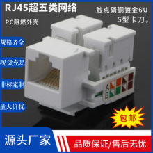 超五类网络模块 CAT5E网络模块 安普款式CAT5E网络模块  RJ45模块