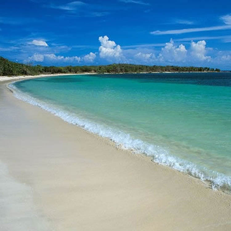 ɳ̲�����㾫������֮���㾫�������㾫���������㾫