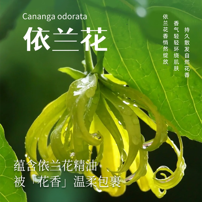 律菲依兰花精油香氛沐浴露净澈污垢温和清洁依兰花香持久留香保湿|undefined