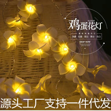 �羳 �¿� led �u�������������b��g����С���ʟ���Ů���b�