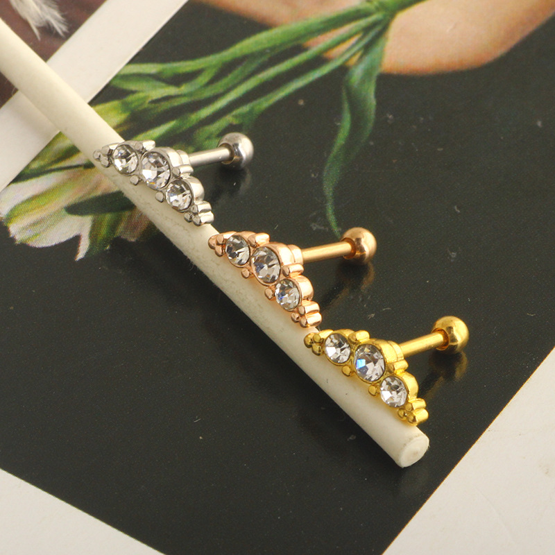 Women's Gender 1 Piece Simple Style Classic Style Leaf Inlay 304 Stainless Steel Zircon Ear Studs