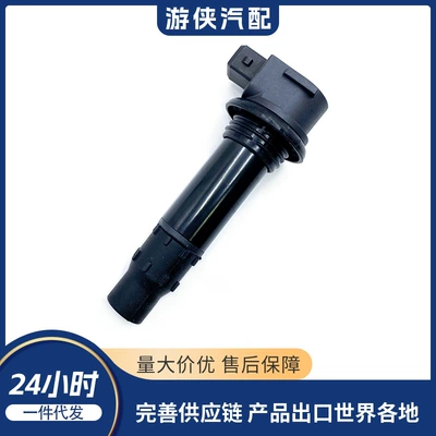Motorcycle Ignition Coil for Chunfeng Nk250 Sr250 Gpr250 0Dm0-178000 (Motosiklet alışdırma bobinləri)