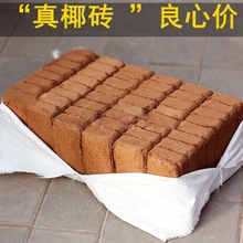 Ҭ�u�I�B���B������Gֲ���÷N�ˏS��ֱ�N��Ҭ��Ó�}Ҭ��ͨ��