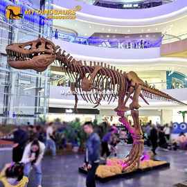 玻璃钢材料霸王龙摆件装饰骨骼 博物馆恐龙骨架超大号一比一