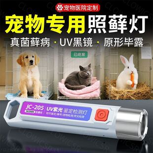 �t�Ì���������Ϲ�؈�_���\���\100%�z�y���⾀�b�e��n�ɹ��