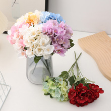 ����5�^���Ľ���ٻ����l ��Y·���������b���@С����ֲ��