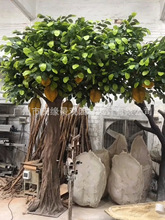 ����䓷�����ɏ�������ˮ����Ӱ���Ĕz���ߟᎧֲ�ﲤ�}�۹���