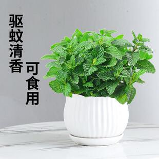 ���������Ե����������ţ�������~��ݾGֲ����û���ˮ�ౡ��