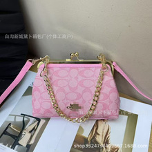 蔻家跨境新款夹口手提包时尚流行高颜值链条单肩挎包潮牌晚宴钱包