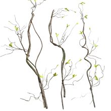 ������ٿ���ֲ���ٗl����֦�l��Ʒ���^�쾰�����b����ϼ�������